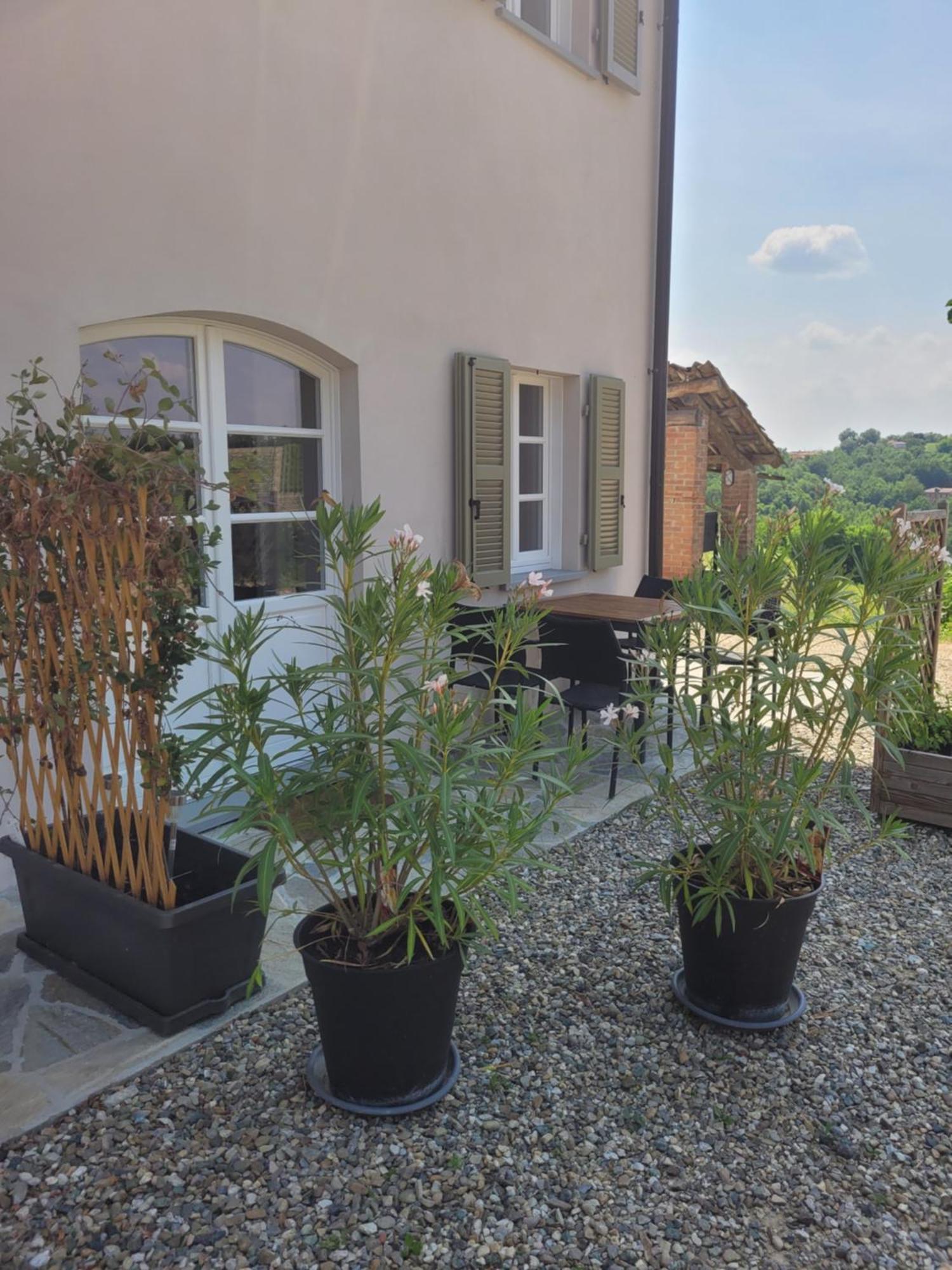 Cascina Allegria Castelnuovo  Kültér fotó