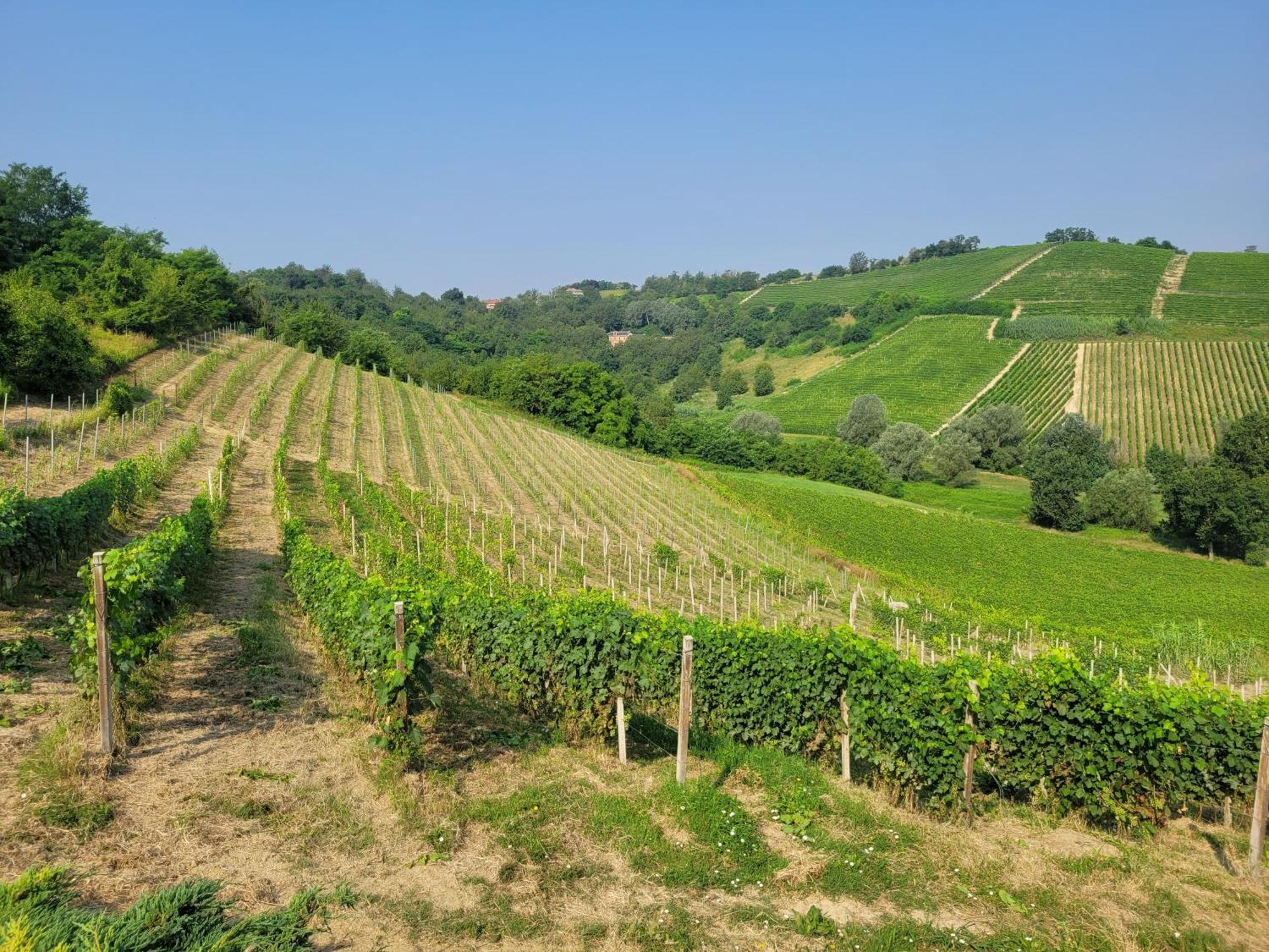 Cascina Allegria Castelnuovo  Kültér fotó